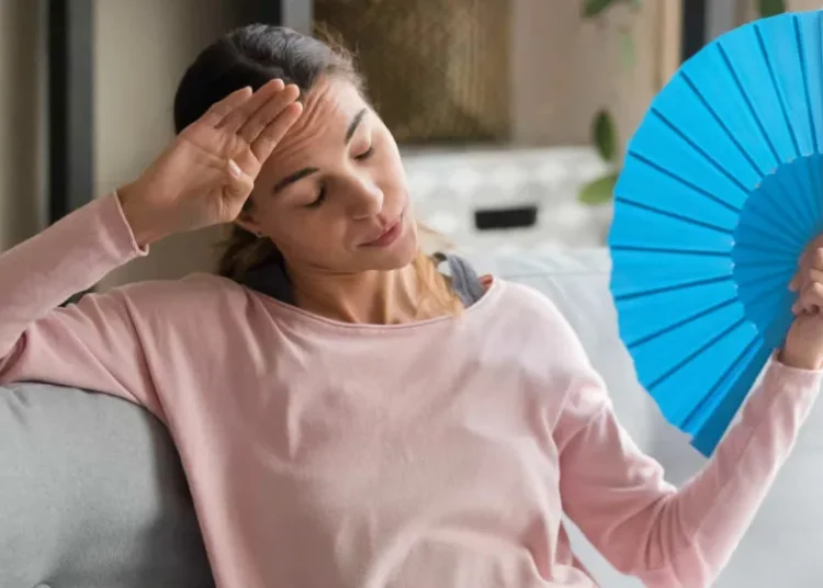 7 dicas para refrescar a casa na estação mais quente do ano