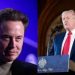 As Big Techs no Governo Trump