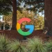 Google dá salto gigante na computação quântica com novo chip Willow