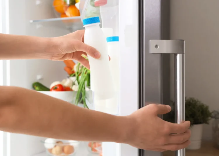 Como organizar a geladeira e conservar os alimentos por mais tempo